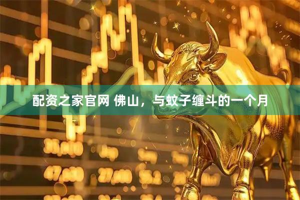 配资之家官网 佛山，与蚊子缠斗的一个月