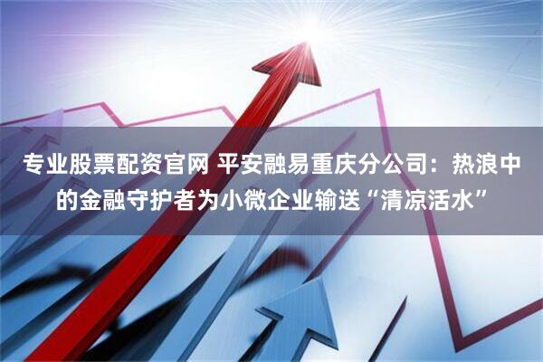 专业股票配资官网 平安融易重庆分公司：热浪中的金融守护者为小微企业输送“清凉活水”