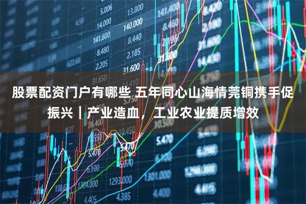 股票配资门户有哪些 五年同心山海情莞铜携手促振兴｜产业造血，工业农业提质增效